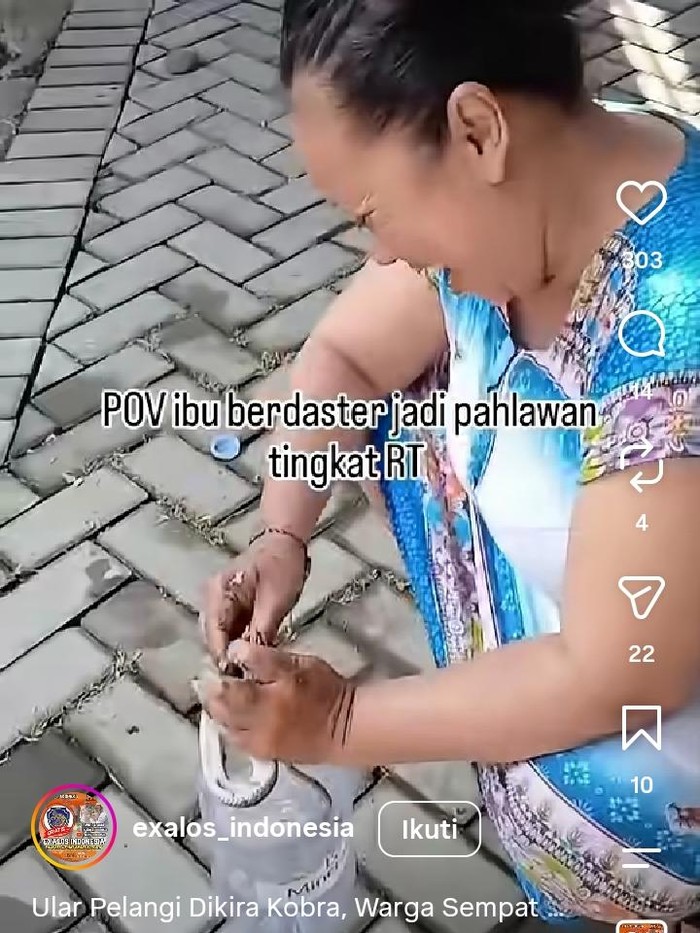 Tangkapan layar memperlihatkan seorang ibu di Boyolali tampak santai menangani seekor ular. Foto diunggah Selasa (18/8/2026).