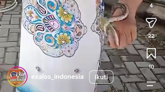 Tangkapan layar memperlihatkan seorang ibu di Boyolali tampak santai menangani seekor ular. Foto diunggah Selasa (18/8/2026).