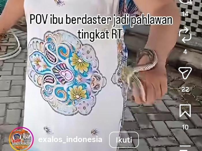 Tangkapan layar memperlihatkan seorang ibu di Boyolali tampak santai menangani seekor ular. Foto diunggah Selasa (18/8/2026).
