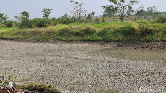 Waduk di Gresik alami kekeringan