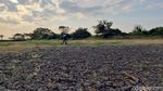Ratusan Waduk dan Irigiasi di Gresik Mengering