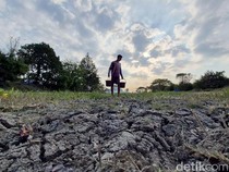 Ratusan Waduk dan Irigiasi di Gresik Mengering
