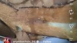 Arumi Bachsin Hobi Kulineran Tradisional, Makan Bubur hingga Mukbang Penyetan