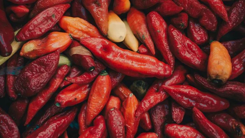 Bhut Jolokia. Ilustrasi