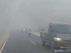 Kalimantan Berasap