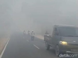 Karhutla di Mana-mana di Kalimantan, Ini Daftar Titik Wilayahnya