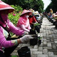 Hari Terakhir, Ayo Daftarkan Srikandi Inspiratif Daerahmu di Sini!