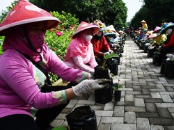 Hari Terakhir, Ayo Daftarkan Srikandi Inspiratif Daerahmu di Sini!