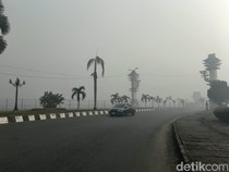 Begini Pemandangan di Kalimantan Saat Berselimut Kabut Asap