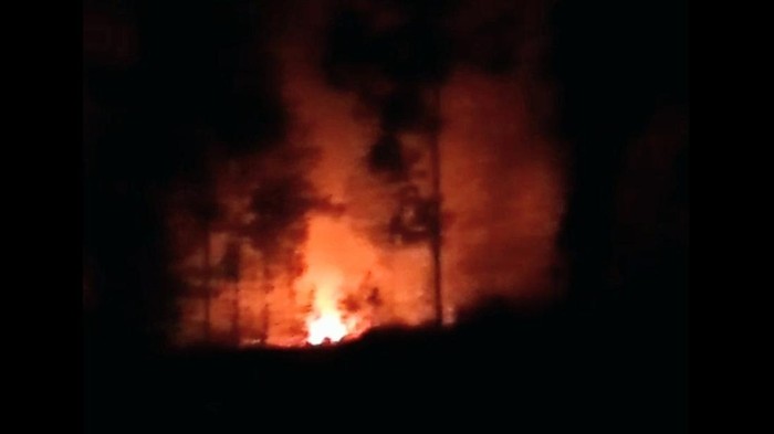 Karhutla kawasan PTPN dan Perhutani di lahan milik  lereng Gunung Ijen Bondowoso
