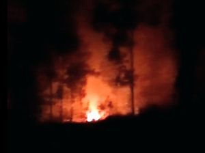Lereng Gunung Ijen Bondowoso Terbakar, Api Ancam Perkebunan Kopi