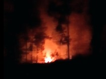 Lereng Gunung Ijen Bondowoso Terbakar, Api Ancam Perkebunan Kopi