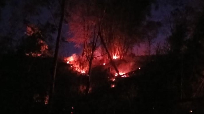 Kebakaran di kawasan hutan pinus Malino, Gowa.