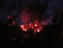Kebakaran Hanguskan Hutan Pinus di Malino Gowa