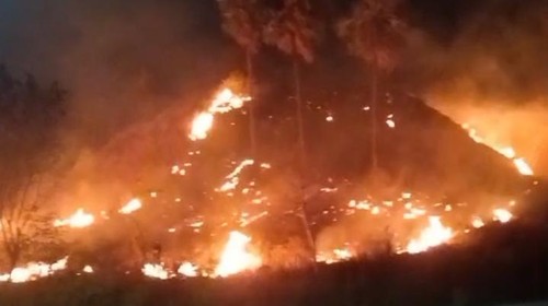 Kebakaran kawasan sabana di perbukitan sekitar Plataran Komodo Resort, Labuan Bajo, Manggarai Barat, NTT, Selasa (18/8/2026) malam. (Istimewa)