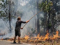 Kobar Membara Sepanjang Agustus, 842 Hektare Lahan Terbakar