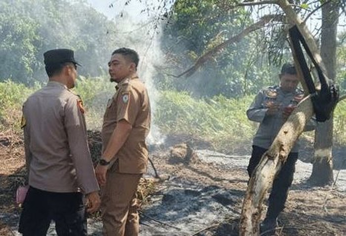 Lokasi pembakaran lahan di Baamang, Kotawaringin Timur. (dok Istimewa)