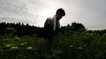 Panas Ekstrem, Petani Jepang Ubah Jam Kerja Jadi Malam