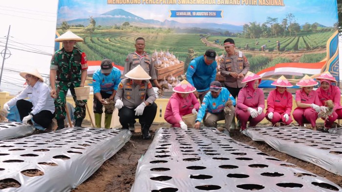 penanaman bawang putih di polsek cisarua