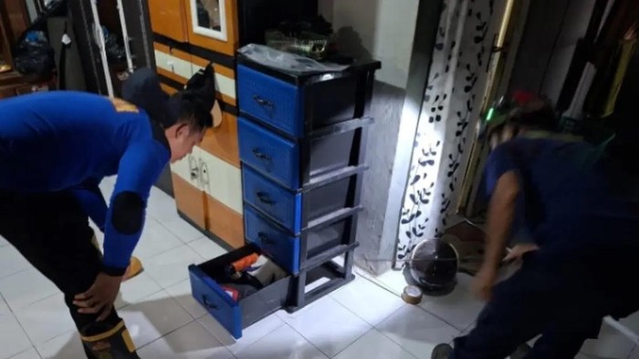 Warga Kompleks BTN Akasia Permai, Jalan Pramuka, Kelurahan Madurejo dikejutkan ular kobra yang masuk ke dalam rumah, Rabu (19/8/2026) siang. Ular berbisa berukuran 1 meter itu dilaporkan warga bernama Bagus Noor Fadlillah ke Mako Dinas Pemadam Kebakaran dan Penyelamatan (Damkar) Kabupaten Kotawaringin Barat (Kobar) sekitar pukul 11.00 WIB.