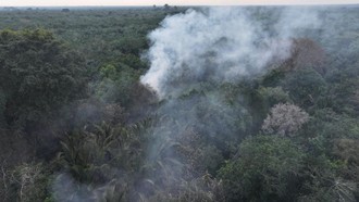 Polri Tetapkan 72 Tersangka Karhutla di Kalimantan, Sumsel hingga Riau