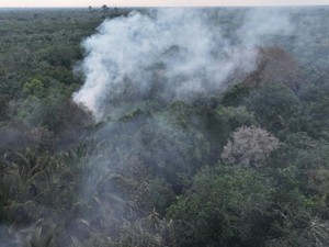 Pria di Bengkalis Jadi Tersangka, Diduga Sengaja Bakar Lahan Sampai 1 Hektare