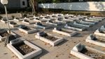 Tragedi Pembantaian di Balik Monumen Perjuangan Rawagede