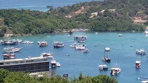 Video: Aktivitas Wisata di Labuan Bajo Kembali Jalan Usai Gempa