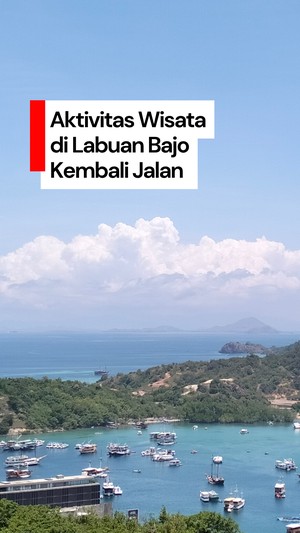 Video: Aktivitas Wisata di Labuan Bajo Kembali Jalan Usai Gempa