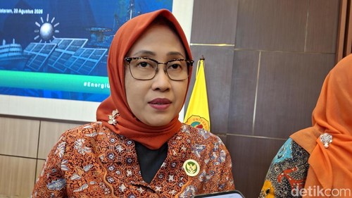 Anggota DEN, Sripeni Inten Cahyani ditemui di Mataram, Kamis (20/8/2026). (Foto: Ahmad Viqi/detikBali).