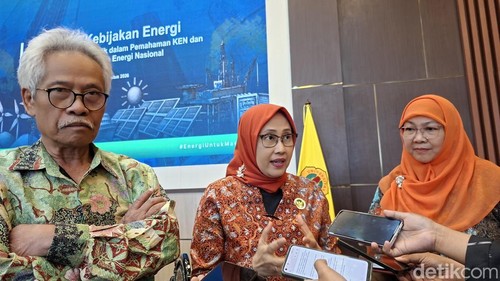 Anggota DEN, Surono bersama Sripeni Inten Cahyani dan Wakil Rektor Bidang Perencanaan, Kerjasama dan Sistem Informasi Unram Dr. Sitti Latifah ditemui di Unram, Kamis (20/8/2026). (Foto: Ahmad Viqi/detikBali).