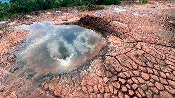 Formasi batu di sekitar Naka Cave memiliki pola retakan yang menyerupai sisik naga. Bentuk ini terbentuk secara alami melalui proses pelapukan, perubahan suhu, retakan batuan, dan erosi yang berlangsung dalam waktu sangat panjang. Foto: Phu Langka National Park