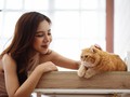 Studi Ungkap Parasit pada Kucing yang Bisa Menginfeksi Manusia