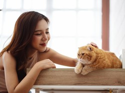 Studi Ungkap Parasit pada Kucing yang Bisa Menginfeksi Manusia