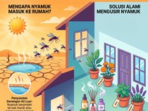Jangan Heran Nyamuk Makin Banyak Saat Kemarau, Ternyata Ini Sebabnya