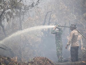 23 Hari Terbakar, Baru 81 dari 270 Hektare Lahan di Pelalawan Padam