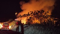 Ngerinya Karhutla di Kalimantan hingga Berimbas ke Negara Tetangga