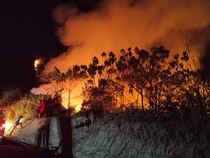 Ngerinya Karhutla di Kalimantan hingga Berimbas ke Negara Tetangga