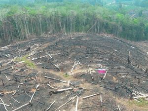 Anggota DPRD Kalbar Desak TMC Atasi Kabut Asap: Jangan Salahkan Peladang!