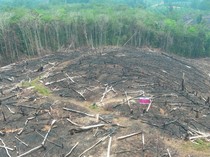 Anggota DPRD Kalbar Desak TMC Atasi Kabut Asap: Jangan Salahkan Peladang!