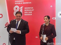 Airlangga Ungkap Potensi Investasi Jerman di RI, Ini Sektornya