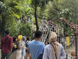 Tiket Masuk KBS Cuma Rp 11 Ribu Khusus Hari Jadi ke-110, Simak Tanggalnya