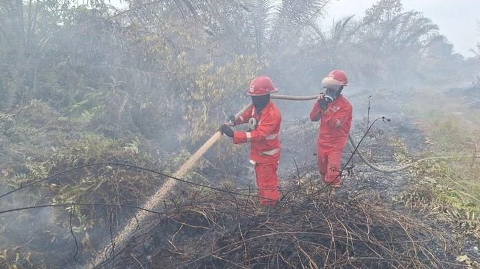 Personel Manggala Agni melakukan pemadaman karhutla di Muara Medak, Muba.