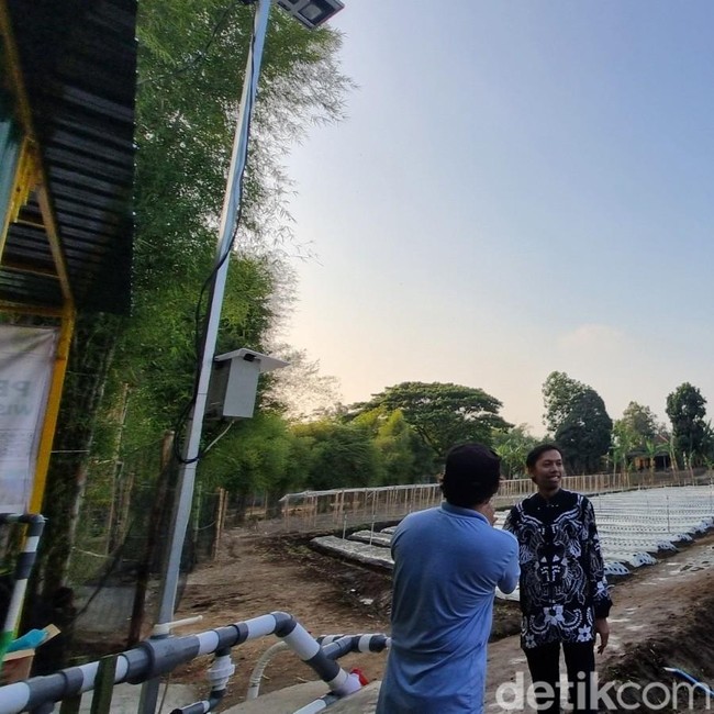 Potret Pertanian Canggih Pakai AI di Pleret Bantul