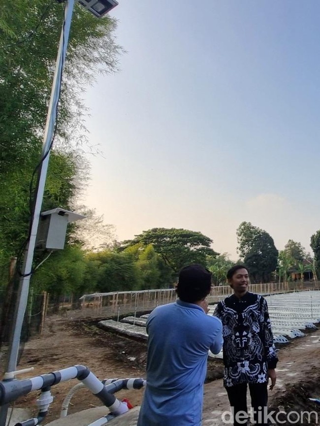 Potret Pertanian Canggih Pakai AI di Pleret Bantul