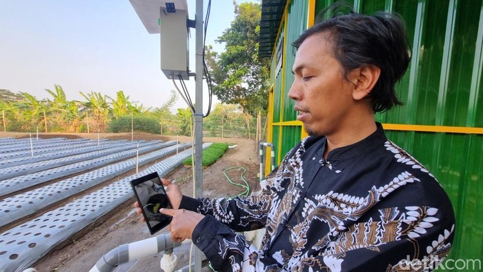 Pertanian modern yang dikembangkan Kalurahan Pleret Bantul.