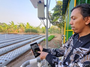 Canggih! Pleret Bantul Bikin Pertanian Modern, Siram-Pupuk Tanaman Dibantu AI