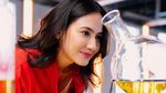 Mimpi Pevita Pearce Ketemu 2 Idola Terwujud