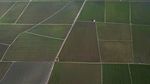 Hamparan Sawah Baru di Sulawesi Barat Mulai Digarap