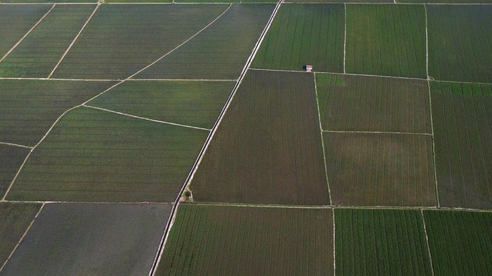 Foto udara areal persawahan saat memasuki musim tanam padi di Kalukku, Mamuju, Sulawesi Barat, Kamis (20/8/2026). Kementerian Pertanian mencatat program cetak sawah di Sulawesi Barat pada 2026 sebesar 868 hektare lahan telah dipastikan siap dikerjakan dan ditargetkan mampu menghasilkan produksi padi hingga 10 ton per hektare serta rampung pada November 2026 mendatang. ANTARA FOTO/Akbar Tado/agr